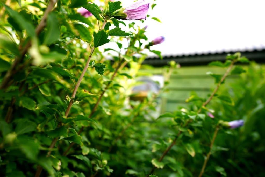 Romantic Retreat - Luxury Shepherds Hut + Hot Tub! Camborne Esterno foto